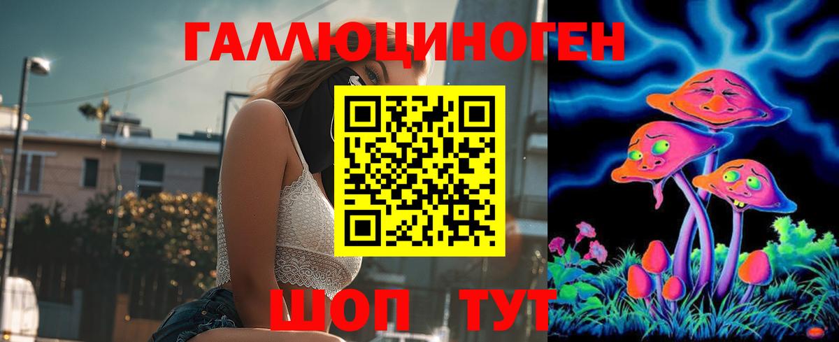 Галлюциногенные грибы Psilocybe Азов